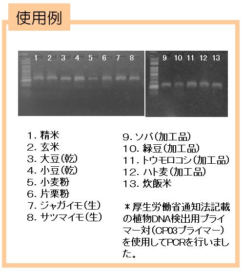 DNＡ-suisuiS